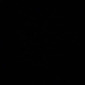 Meet your Posher, Karly